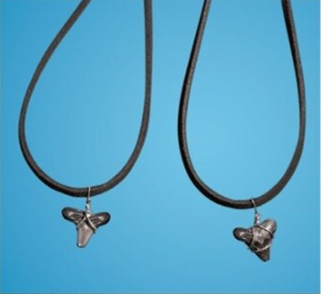 Shark tooth with Leather Necklace – ElPortoSurfShop