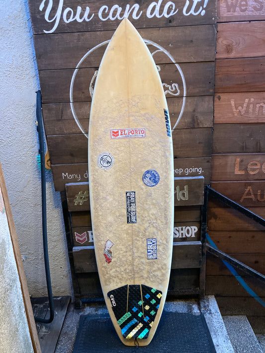 El Porto Fish Surfboard