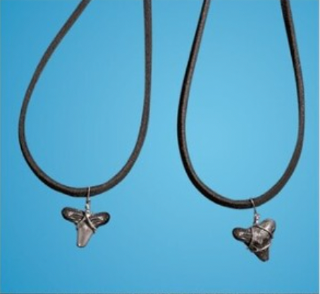 Shark tooth with Leather Necklace