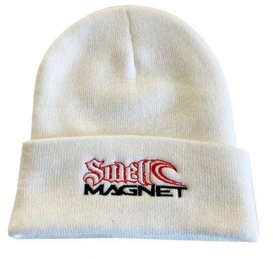 Swell Magnet Beanie